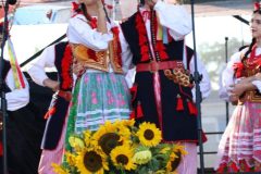 IMG_8671-rotated