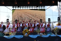 IMG_8685