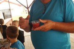DSC07878-rotated